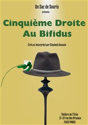 Cinquième droite au Bifidus Thtre de l'Echo Affiche