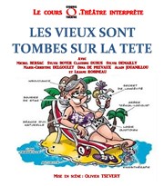 Les vieux sont tombés sur la tête Salle de france Affiche