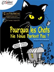 Pourquoi les chats ne nous parlent pas ? Royale Factory Affiche