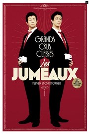 Les jumeaux dans Grands crus classés Caf Thtre Ct Rocher Affiche