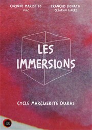 Les Immersions : L'Amant Grenier Thtre Affiche