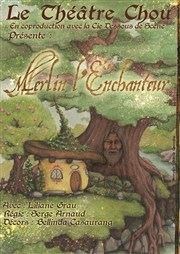 Merlin l'enchanteur L'oiseau Lyre Affiche