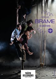 Brâme Thtre des Bergeries Affiche