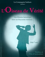 L'Oiseau de vérité Thtre de la Noue Affiche