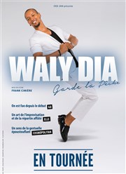 Waly Dia dans Waly Dia garde la pêche ! Casino Joa La Seyne sur Mer Affiche