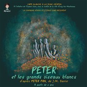 Peter et les grands oiseaux blancs Espace Icare Affiche