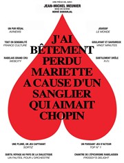 J'ai bêtement perdu Mariette à cause d'un sanglier qui aimait Chopin Pixel Avignon - Salle Bayaf Affiche