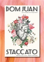 Dom Juan staccato Thtre Pixel Affiche