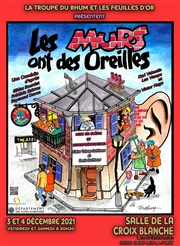 Les Murs ont des oreilles Salle de la Croix Blanche Affiche