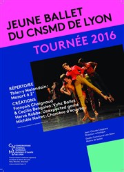 Le jeune ballet de Lyon Thtre Municipal Armand Affiche