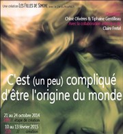 C'est (un peu) compliqué d'être l'origine du monde La Loge Affiche