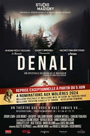 Denali Studio Marigny Affiche