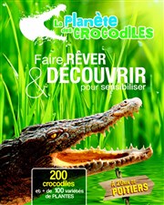 La Planète des Crocodiles La Plante des Crocodiles Affiche