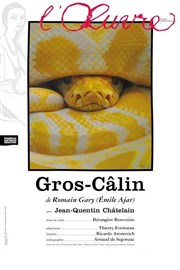 Gros-Câlin Thtre de l'Oeuvre Affiche