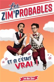 Et si c'était vrai ! Thtre Le Mlo D'Amlie Affiche