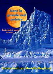 Dans la grande nuit polaire Au Chapeau Rouge Affiche