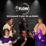 Le Flow : Sottises Le Kibl Affiche