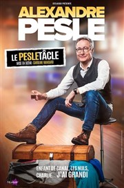 Alexandre Pesle dans Le Pesletacle Centre culturel Marc Baron Affiche