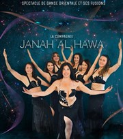 Janah Al Hawa, la compagnie Centre Culturel Marc Brinon Affiche