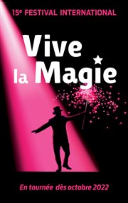 Festival International Vive la magie | Lille Thtre Sbastopol Affiche