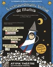 L'extraordinaire bêtise de Mathis Atypik Thtre Affiche