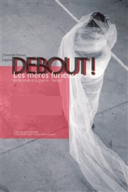 Debout les mères furieuses Thtre Espace 44 Affiche