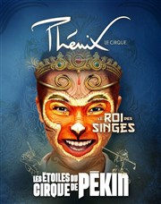 Cirque Phenix : Le Roi des Singes Chapiteau Cirque Phnix  Paris Affiche