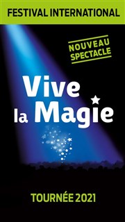 Festival international Vive la magie | Rennes Le Triangle Affiche