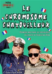 Le chromosome chatouilleux Thtre Grand Mlo Paradis Affiche