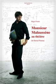 Monsieur Malaussène Attila Thtre Affiche