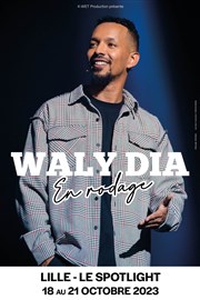 Waly Dia | En rodage Spotlight Affiche