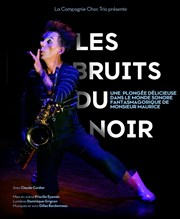 Les bruits du noir Espace Alya - Salle A Affiche