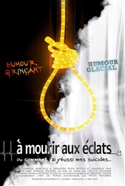 A mourir aux éclats, ou comment j'ai réussi mes suicides... Au Palace - Salle 4 Affiche