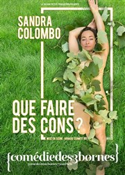 Sandra Colombo dans Que faire des cons ? Comdie des 3 Bornes Affiche