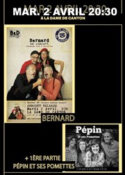 Bernard + Pépin et ses Pomettes (1ère partie) La Dame de Canton Affiche