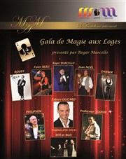 Gala de Magie Salle des Ftes de Fay aux Loges Affiche