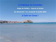 Stage théâtre impro été La Fabrique du Comdien Affiche