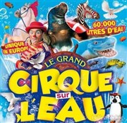 Le Cirque sur l'Eau | - Porto Vecchio Chapiteau Le Cirque sur l'eau  Porto Vecchio Affiche