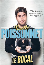 Timothé Poissonnet dans Le Bocal Les Arts dans l'R Affiche