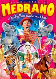 Fantastique Festival International du Cirque Medrano | - à Dole Chapiteau Medrano  Dole Affiche