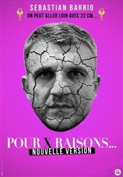 Sébastian Barrio dans Pour X raisons Le Paris de l'Humour Affiche