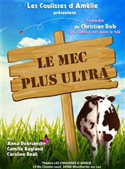 Le mec plus ultra Caf Thtre Ct Rocher Affiche