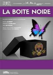 La boîte noire Thtre Pixel Affiche