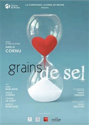 Grains de sel Thtre du Centre Affiche