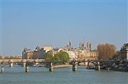 Visite guidée : La possibilité d'une île : Quand Lutèce devient Paris | par Romain Garcia Pont-Neuf Affiche