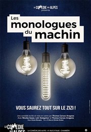 Les monologues du machin Salle Pierre Lamy Affiche