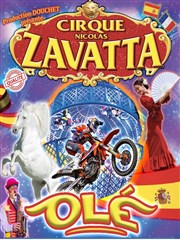 Le Cirque Nicolas Zavatta Douchet dans Olé | Rambouillet Cirque Nicolas Zavatta  Rambouillet Affiche