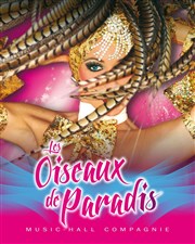 Les Oiseaux de Paradis Thtre Andr Malraux Affiche