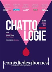 Chattologie Comdie des 3 Bornes Affiche