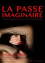 La passe imaginaire Art Studio Thtre Affiche